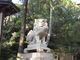 ぼりさんの和歌山県護国神社への投稿写真4