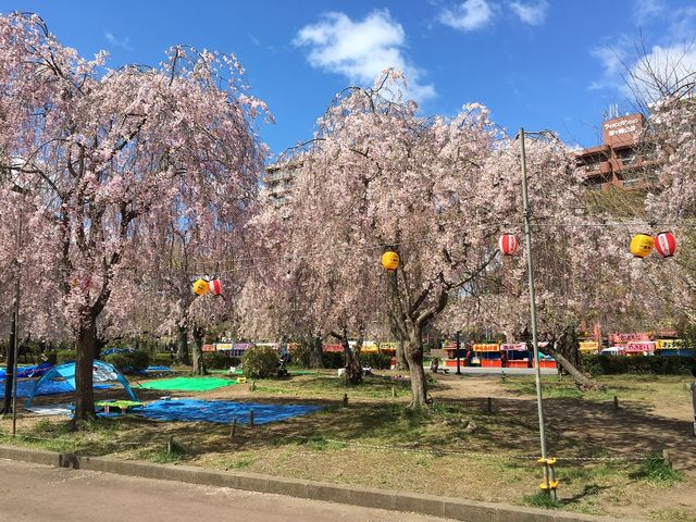 �։�����_�։�����