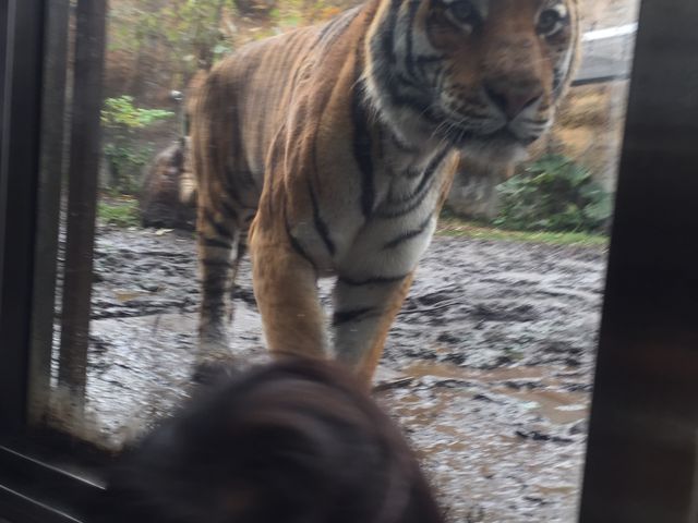 �g���������߂��܂ŁI�I
�唗�͂ł��I�I
�ʐ^�̌���������܂���(T_T)_���R������