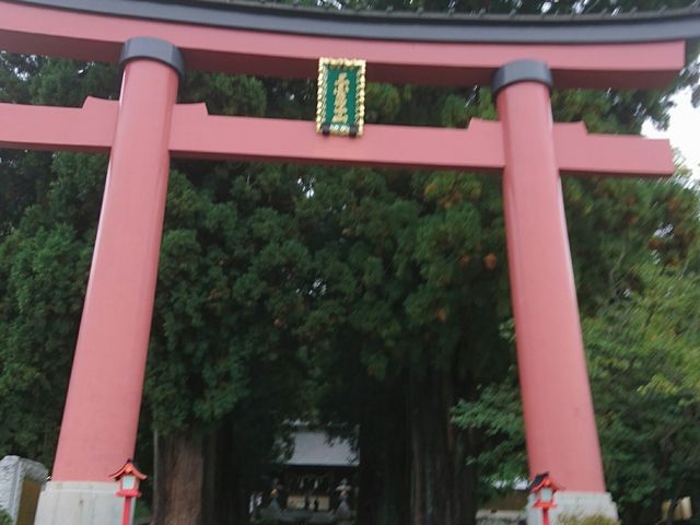������P�W���[�g���̑咹��
_�͌���Ԑ_��