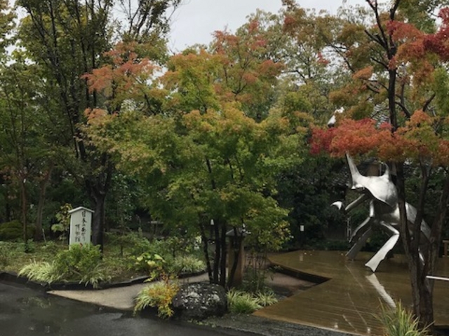 �s�v�c�ȃA�v���[�`_���{�̂����蔎����