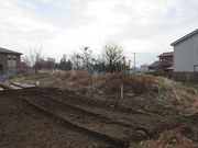 ͂Ȃ񂳂̍i隬j̓eʐ^1