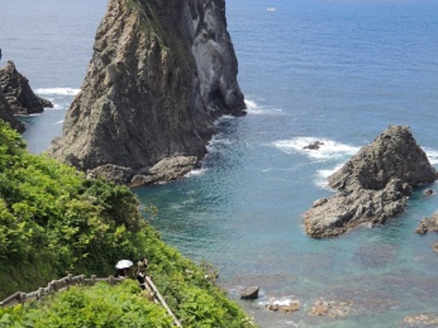 �������g_�_�Ж�