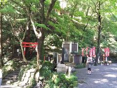 ]ˉƉL̐Vωւ̓eʐ^4