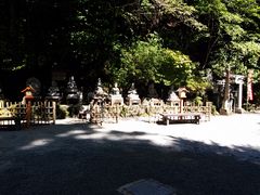 ]ˉƉL̐Vωւ̓eʐ^7