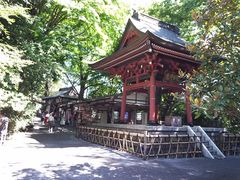 ]ˉƉL̐Vωւ̓eʐ^8