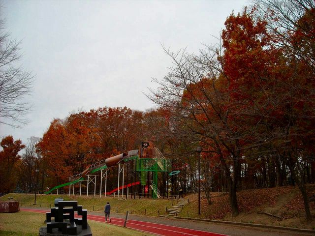 ��ʉE��̗т̒��Ƀ}���b�g�S���t�R�[�X������܂��i�Ő��L����B�e�j_���䒆�������}���b�g�S���t�R�[�X