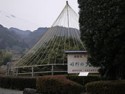 sklfh̊̑`mLi咃j̓eʐ^1