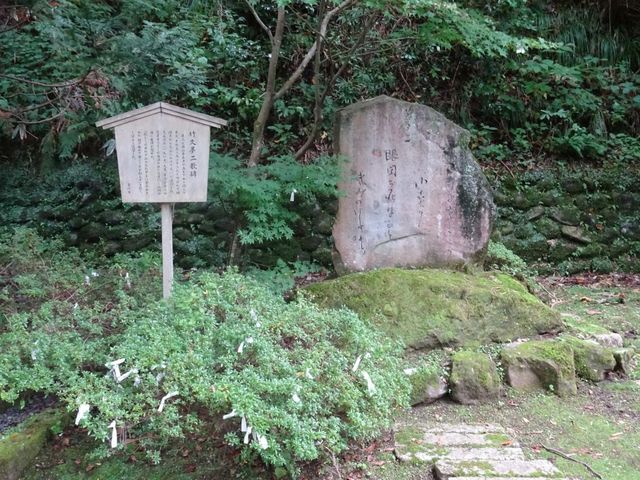 pon񂳂̒|v̔̓eʐ^1