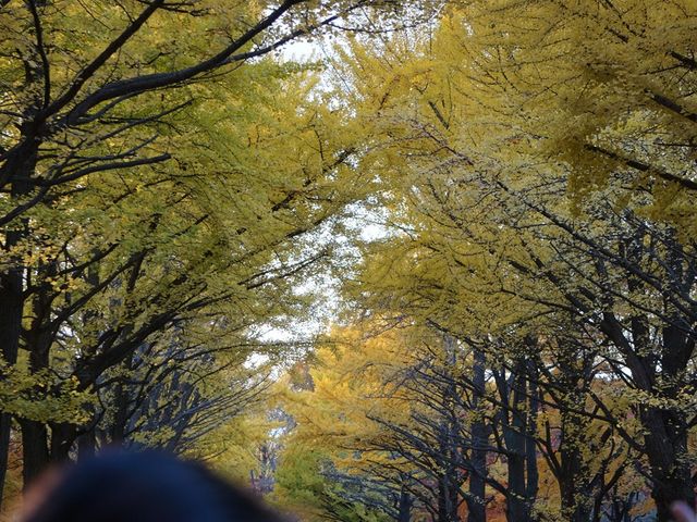 ���ꂢ�ȐF�Â�_�k��C�`���E����