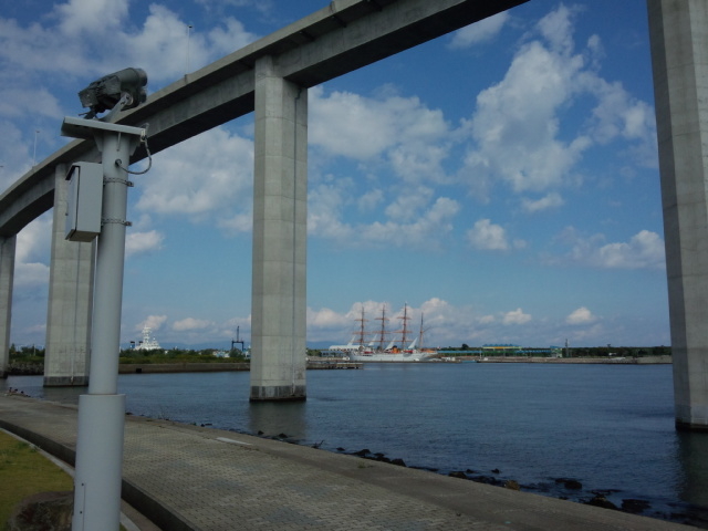 �V���勴�ł�_�R����