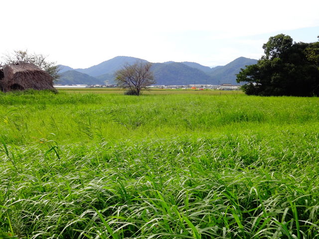 ǁ[̑咆̌ΓՂ̓eʐ^2