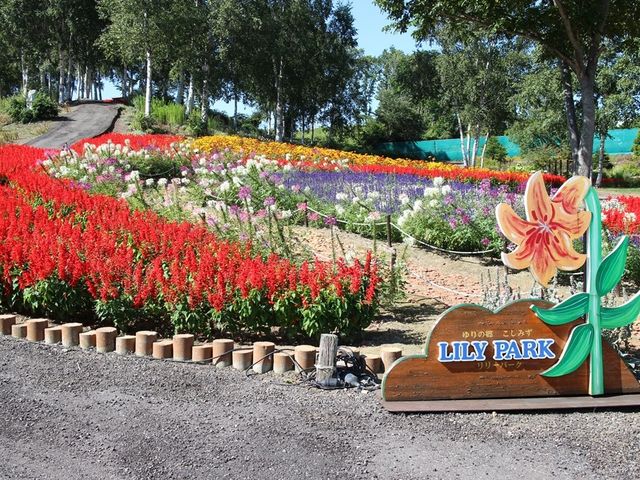 �Ԓd_���̋������݂������[�p�[�N