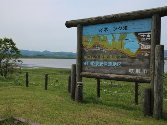 �R���P��_�R���P��