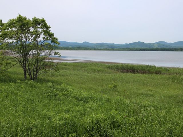 ������̌�_�R���P��