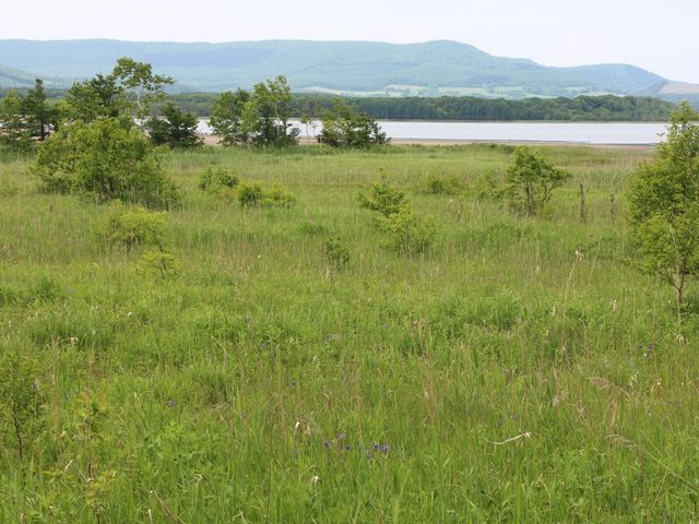 ���R�������ς�_�R���P��