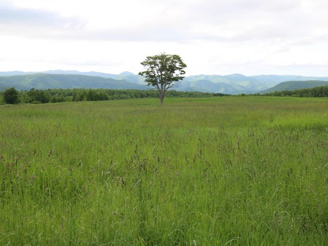 �L������_�啽����