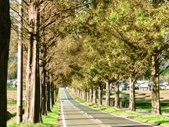 XsR̃^ZRCA؂ւ̓eʐ^1