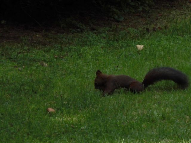 �I_���тЂ듮����