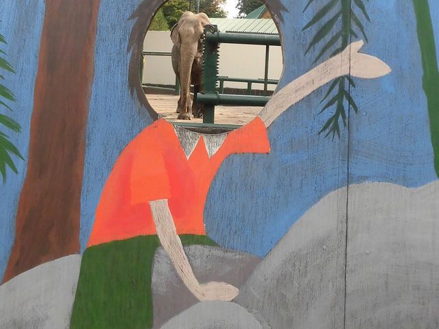 �J_���тЂ듮����