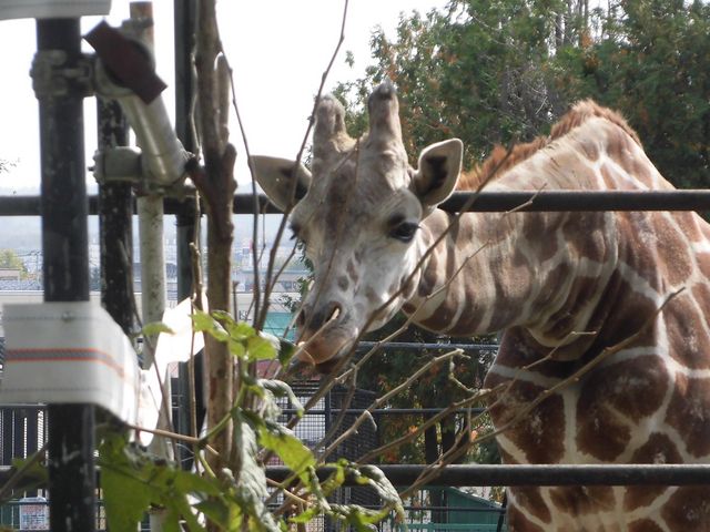 �B_���тЂ듮����