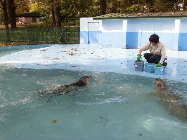 �D_���тЂ듮����