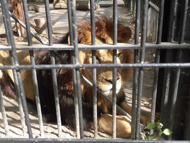 �E_���тЂ듮����