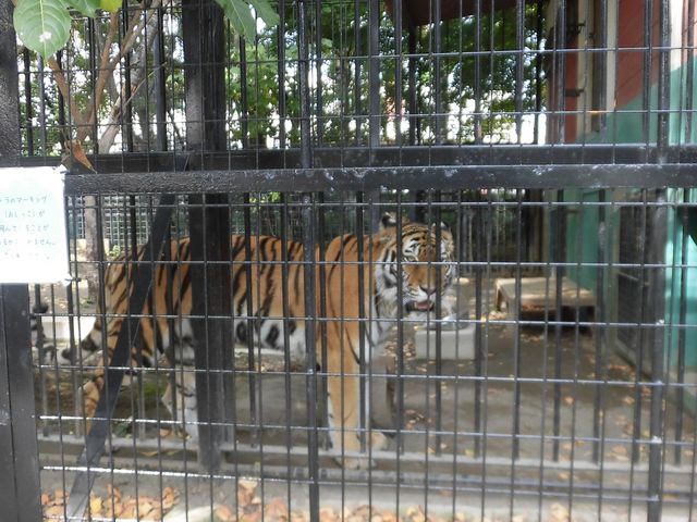 �F_���тЂ듮����