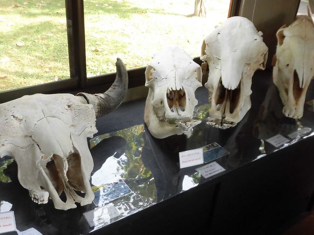 �H_���тЂ듮����