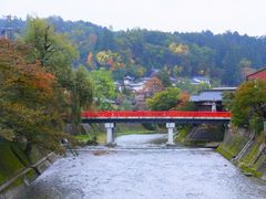 �j�R����񂳂�̒����ւ̓��e�ʐ^1