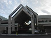 ܂Ȃ̃IsbNJg[Nu̓eʐ^1