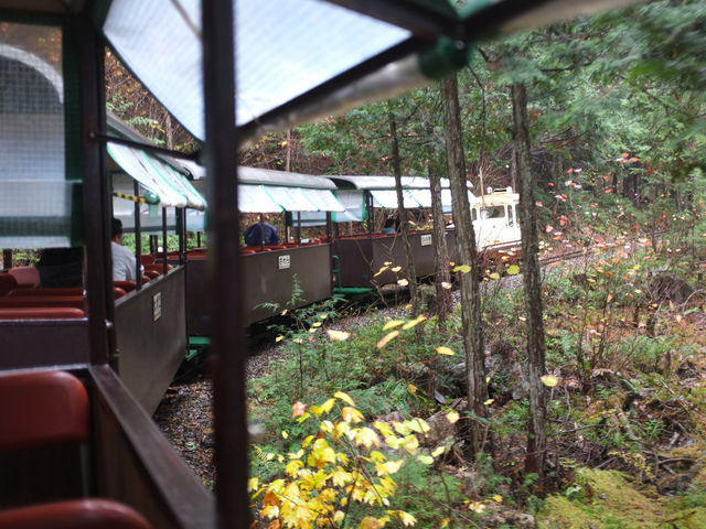 �g���b�R��Ԃɏ���ĐX�ї����ł��܂�_�ԑ򎩑R�x�{��