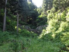 �ڂ肳��̈���R�ւ̓��e�ʐ^1