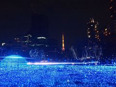 ܂Ȃ̓~bh^Eւ̓eʐ^1