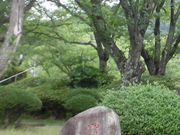 �ڂ肳��̎R��o���q�̔�̓��e�ʐ^1