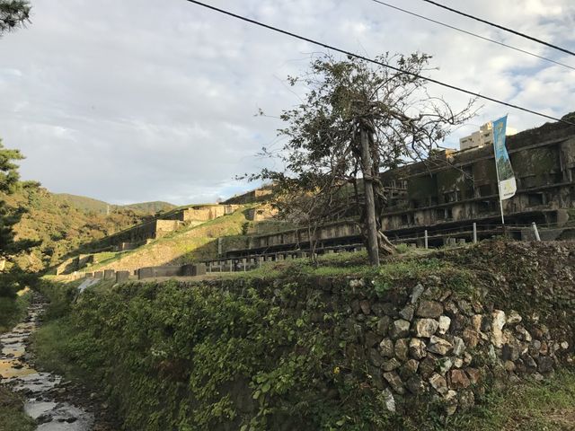 �S�̑�_���n���R���