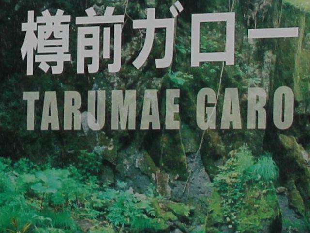 �J�����D���ɂ͂��܂�Ȃ����ł�_�M�O�K���[