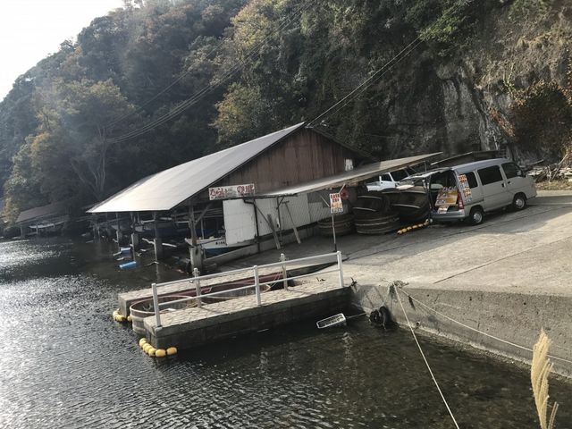 ���炢�M����_��̌��𗬊�