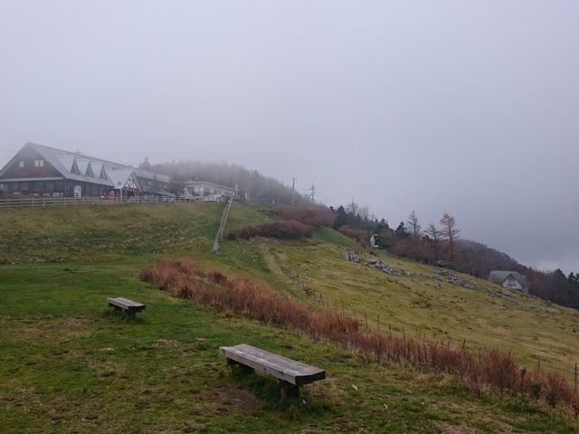 �l���J���X�g_�l���J���X�g��샖��