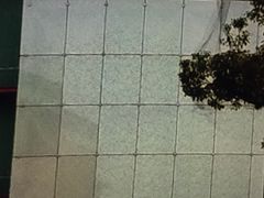 }񂳂KUZUHA MALLւ̓eʐ^1