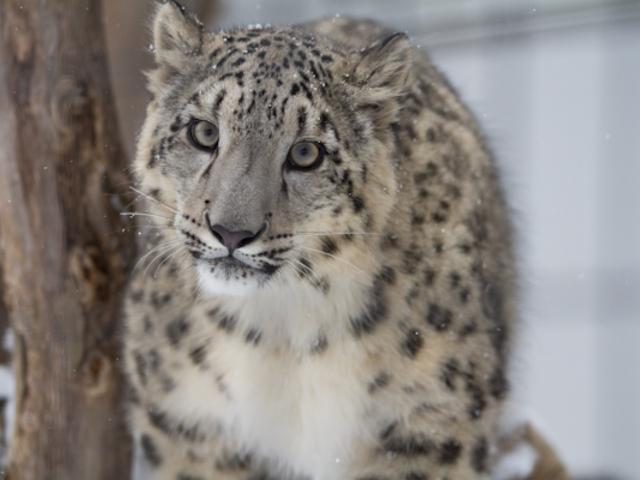 ���L�q���E_�~�R������