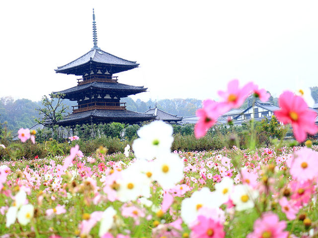 斑鳩の里 奈良 法起寺(日本画) | zestawards.com.au