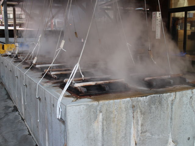 �������������C��_���l���򑫓��@�ق��Ƃӂ��ƂP�O�T