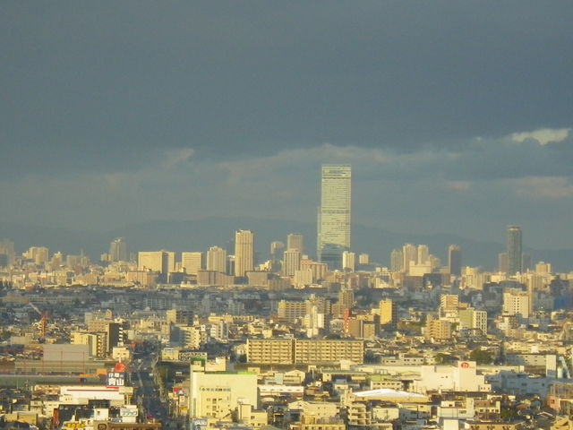 ׂ̃nJXƑs̃rQ_s21KW]r[