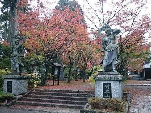 �g�t���L���C_�ێR�ω���