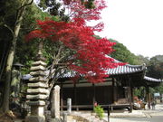 TATK����̖��莛�̓��e�ʐ^2