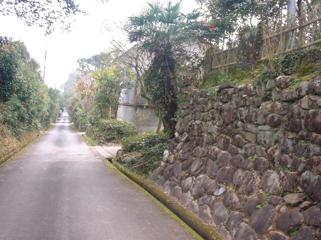 Ԃ񂳂̘[nǂiƉ~Ձj̓eʐ^2