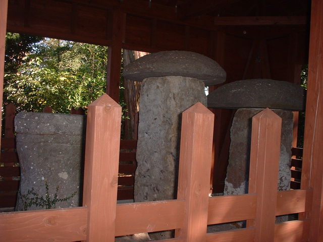 Ԃ񂳂̏򐅎Ղ̓eʐ^1