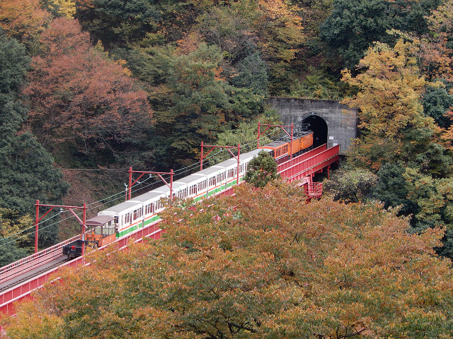 �g���b�R�d�Ԃƍg�t_�F�ތ�����