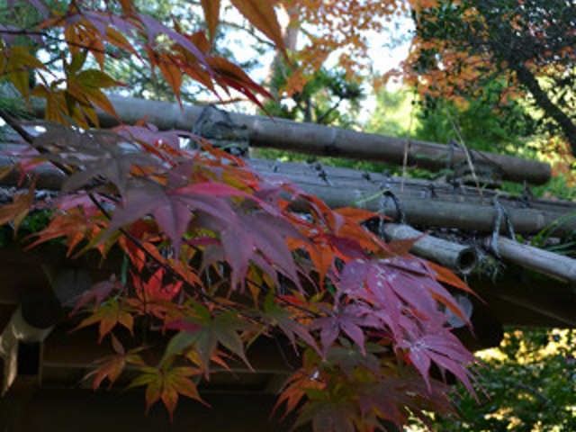 �x�R�s�����������̍g�t_�F�ތ�����